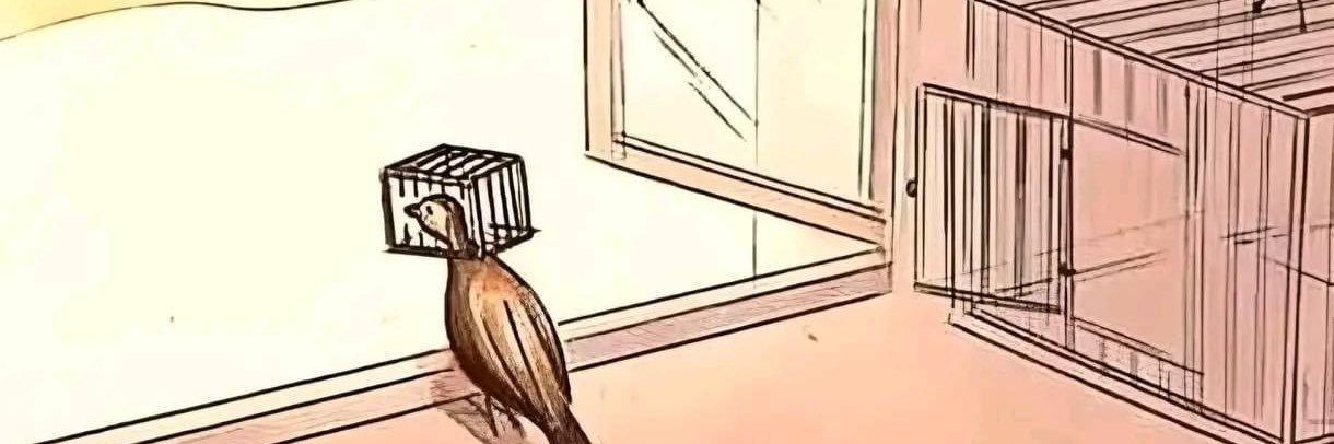Palmtreesinwind's profile banner image