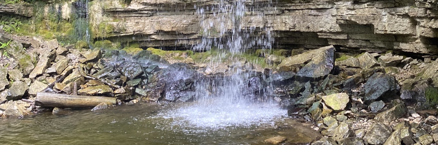 Liliana Martins banner