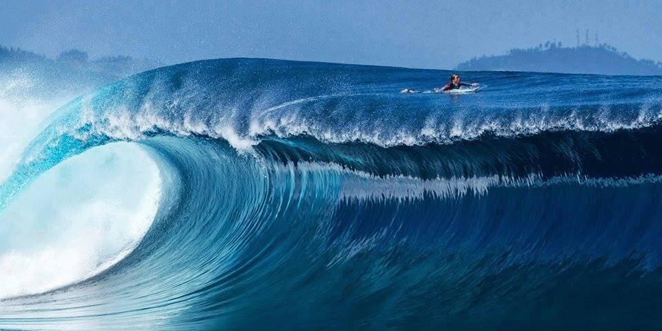 Tam Robertson banner