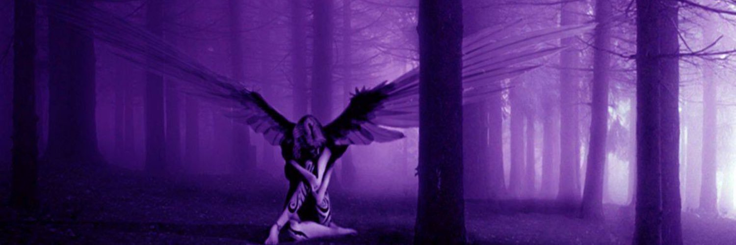 deniseplynch's profile banner image