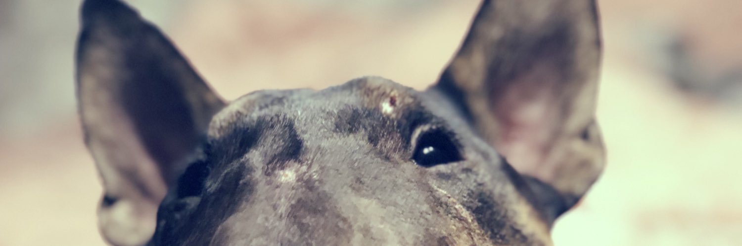erikatorres___'s profile banner image