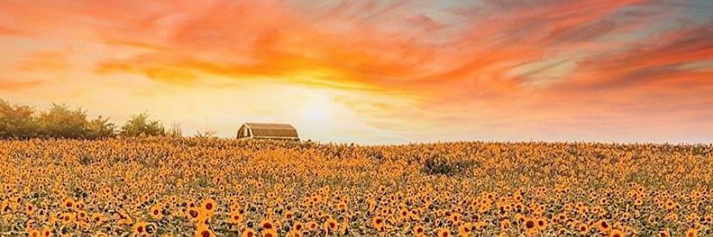 jessika41's profile banner image