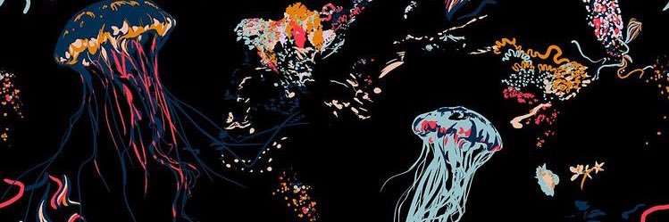 WhenWillWeLearn's profile banner image