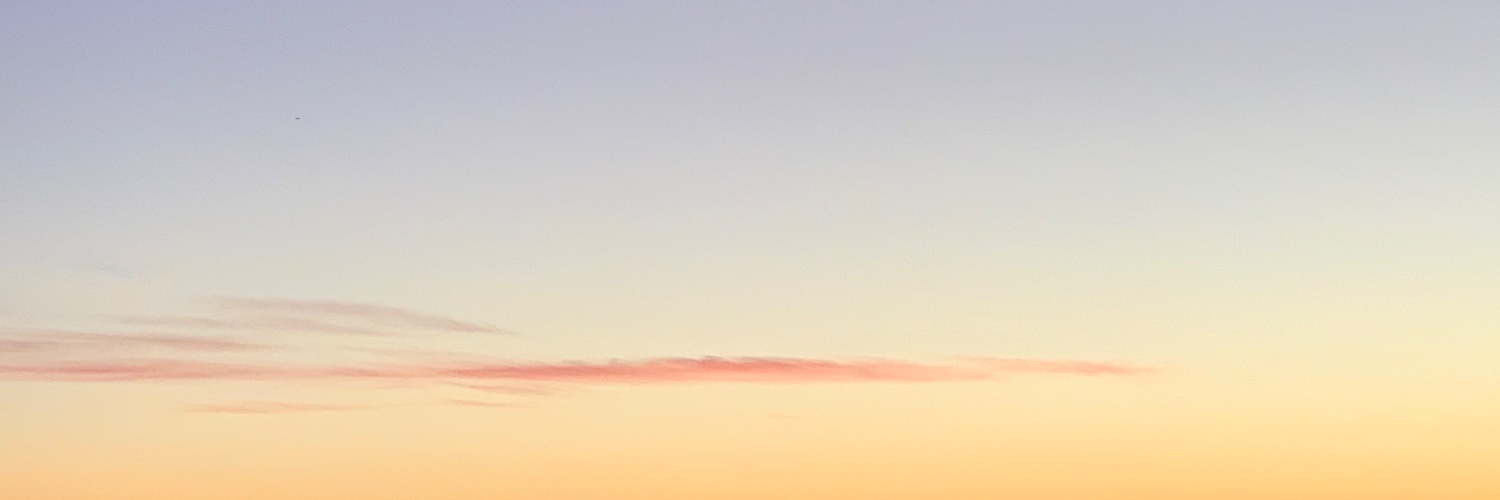 mitzybrivera's profile banner image