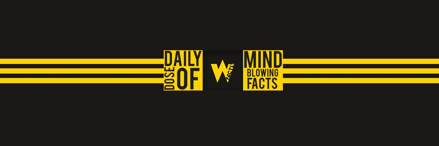 WtfFactsYT's profile banner image