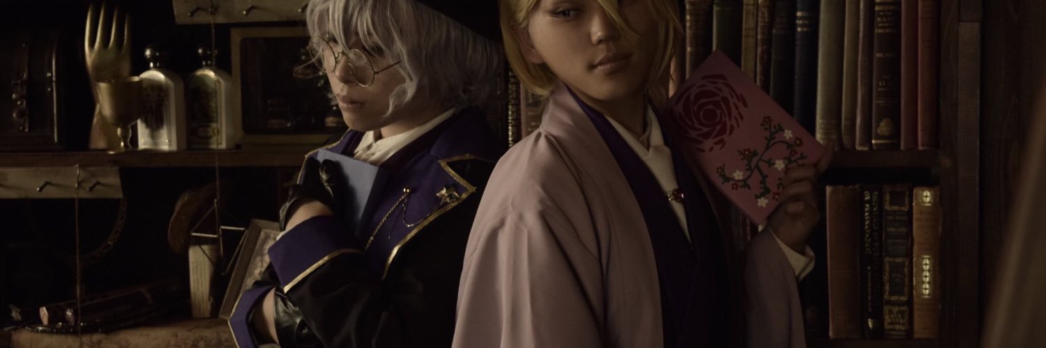 westlichvogel's profile banner image