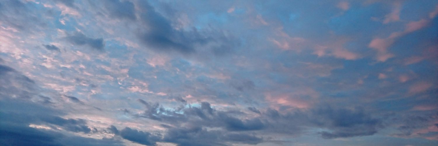 a245pekoe's profile banner image