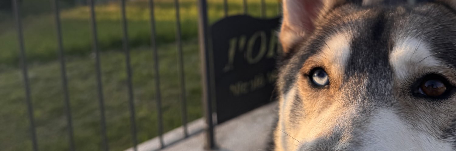 _navarrome's profile banner image