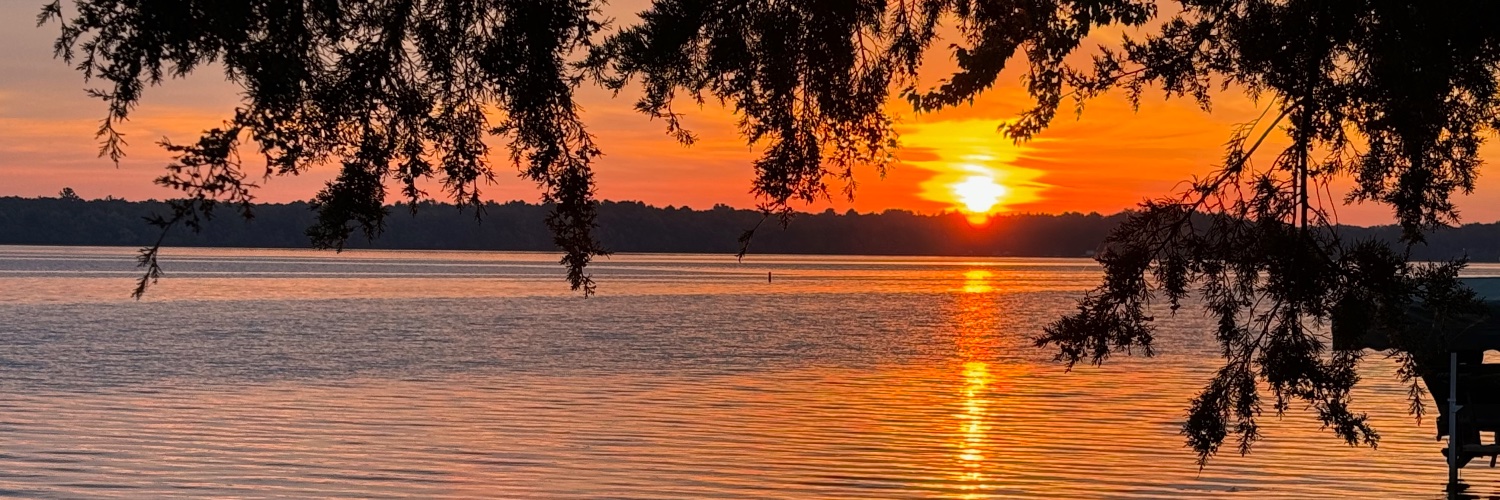 John P. Murphy banner