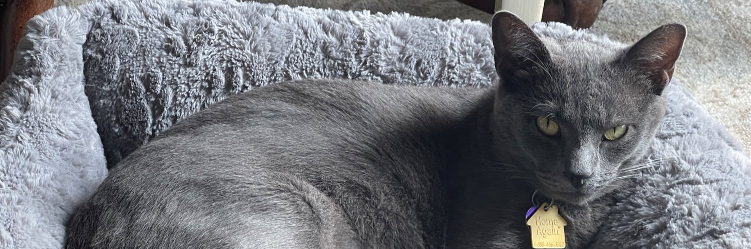 BrowningStubbs's profile banner image