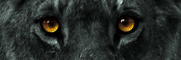 KingC10_'s profile banner image