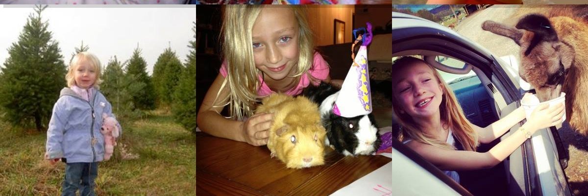jennifermcrouch's profile banner image