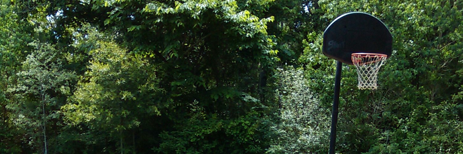 dancingbballgal's profile banner image