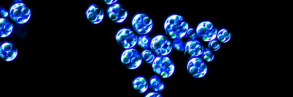 lindyfishburne Profile Banner