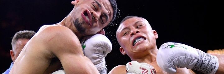 Boxing MMAfias 🇲🇽🥊 banner