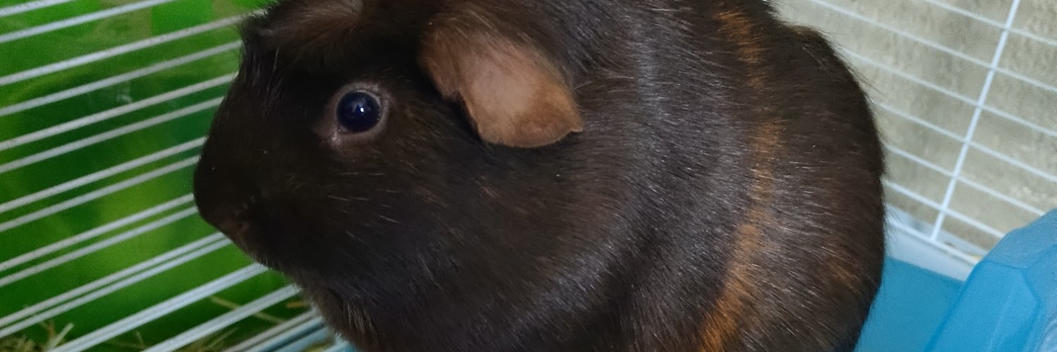 JasonA_16's profile banner image