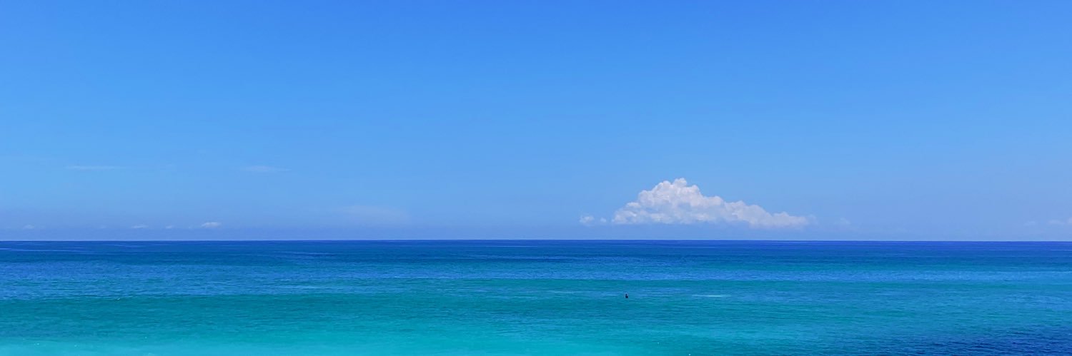 amirrooooooo's profile banner image