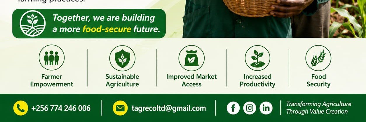 tagreco_co's profile banner image