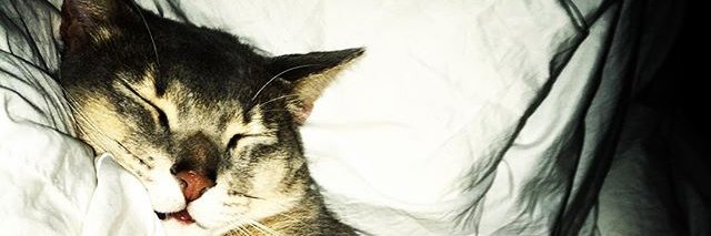 princesskkk_'s profile banner image