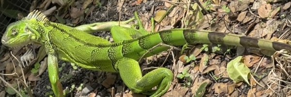 JAVIERMENPAL Profile Banner