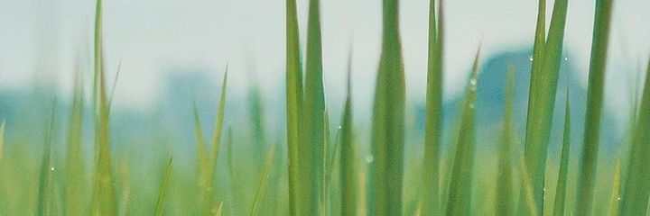 Em_Mansyur's profile banner image