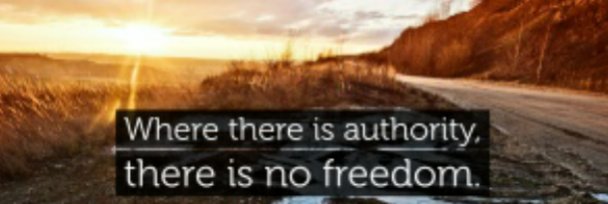 fenja_fecht's profile banner image