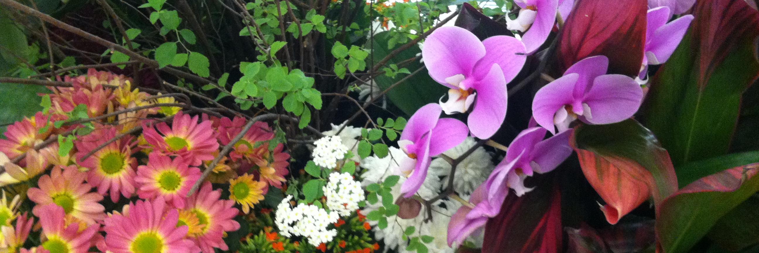 rtchawla's profile banner image