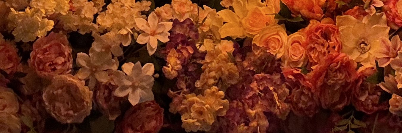 alejwrld's profile banner image