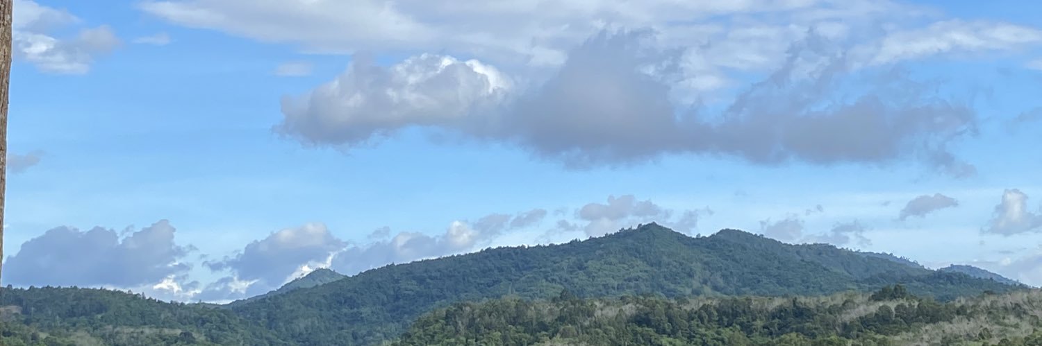 doeedo_'s profile banner image