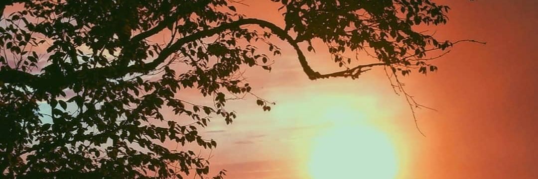 _TheNightshade_'s profile banner image