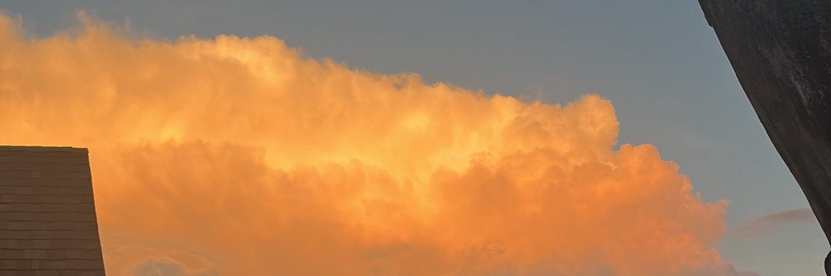 __z0eee's profile banner image