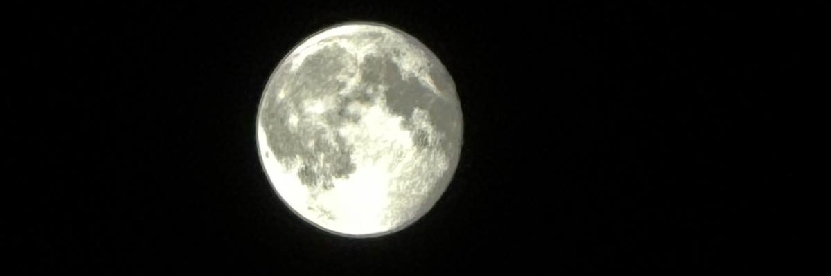 markjhopkinson's profile banner image