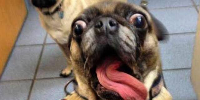 DK_Hunterrr's profile banner image