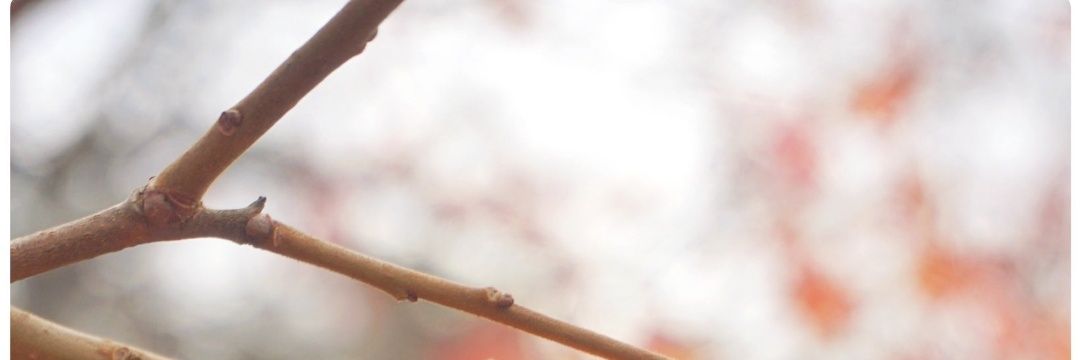 novi_ijoe's profile banner image