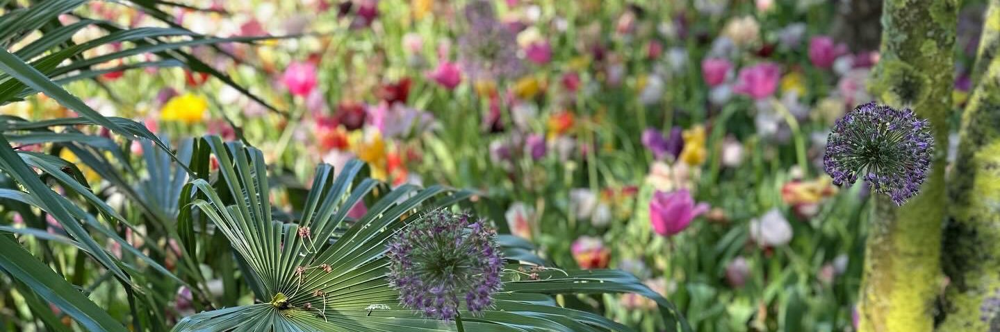 CJULIEN LABRUYERE 🎀〰️ banner