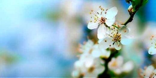 thebooktours's profile banner image