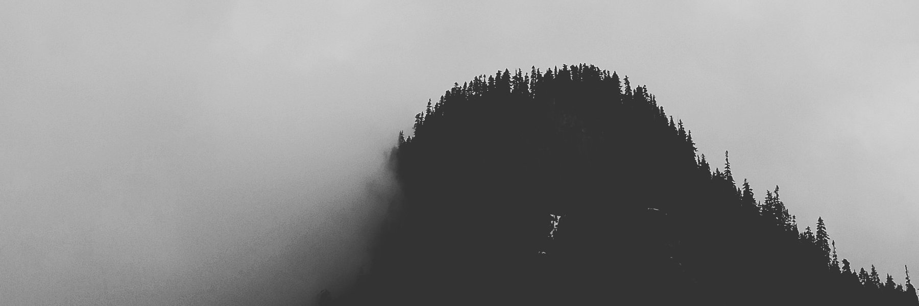 dpkaufman's profile banner image
