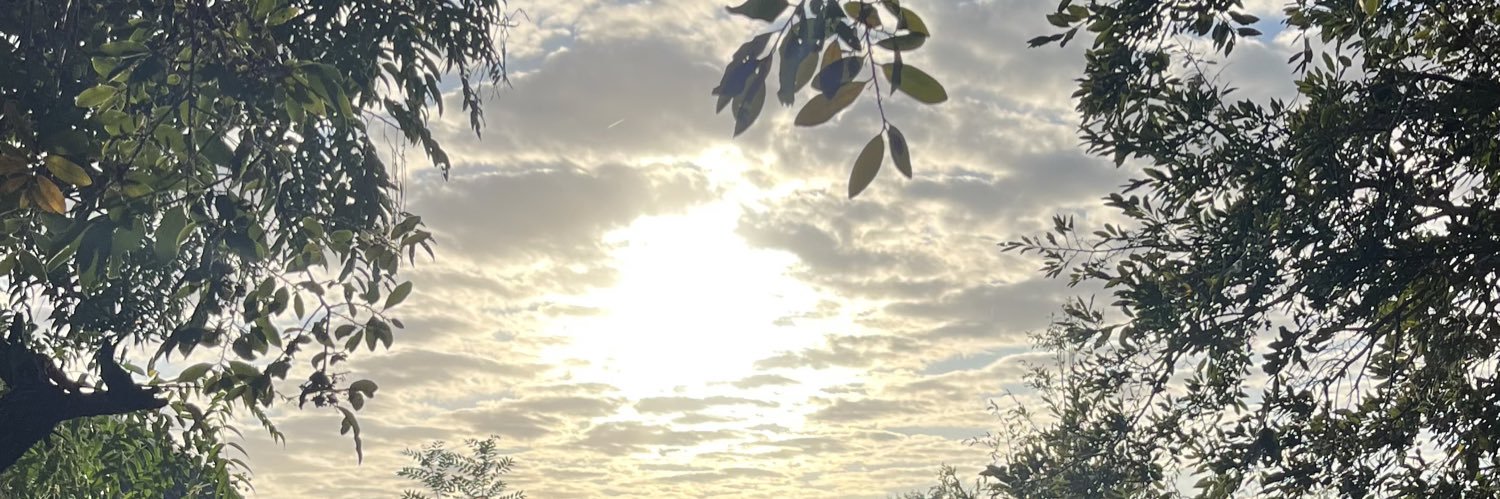 Birdseyebru's profile banner image