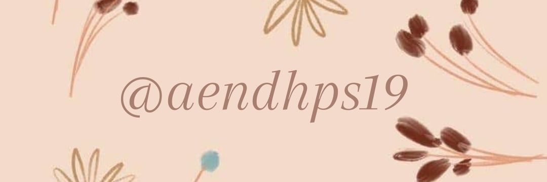 aendhps19's profile banner image