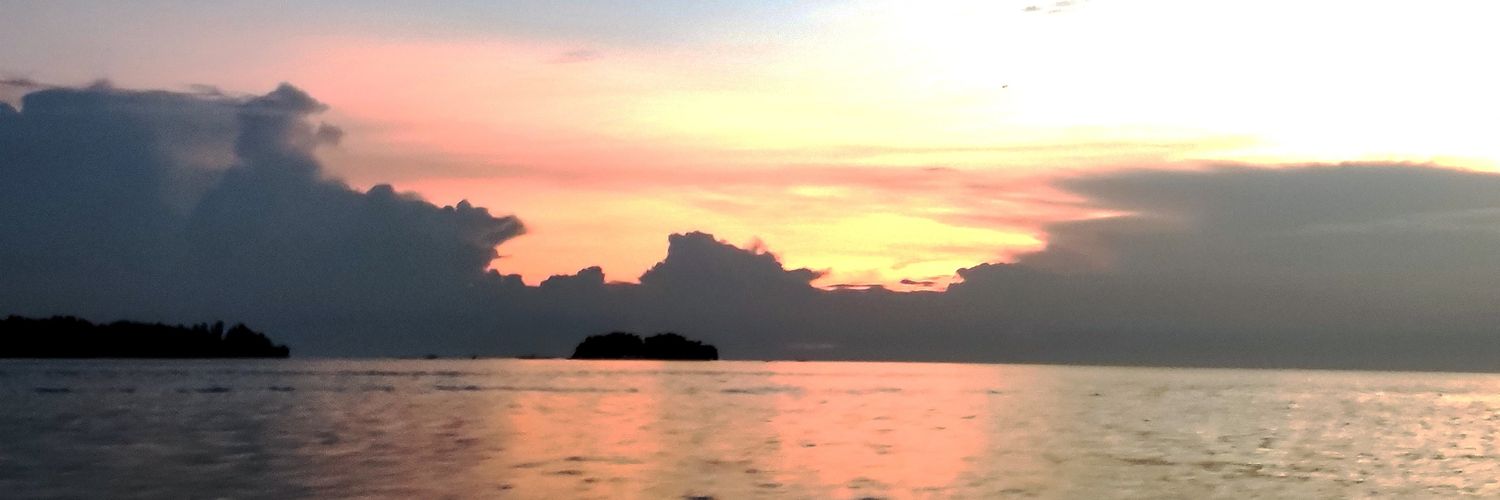 narizanafi's profile banner image