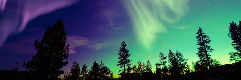 AliceG1021's profile banner image