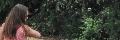 Aligonro banner