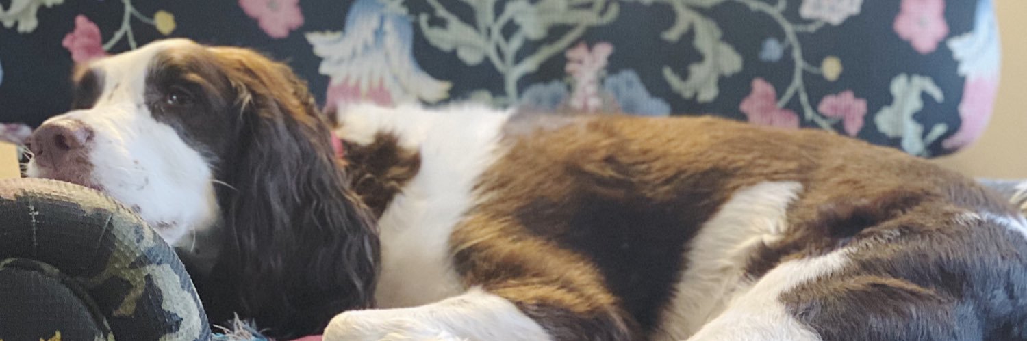 Sally deFries banner