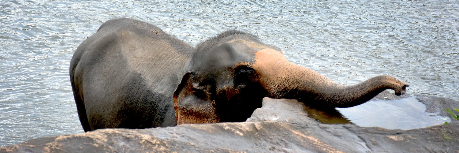 Chinthanaz's profile banner image
