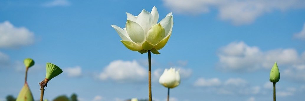 micheldelios's profile banner image
