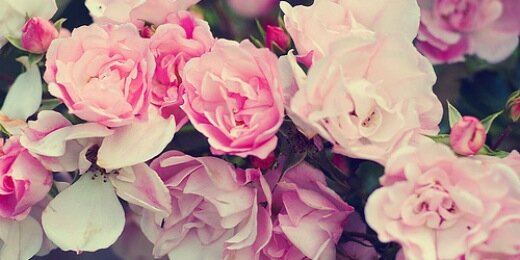 Sweetopia_ID's profile banner image