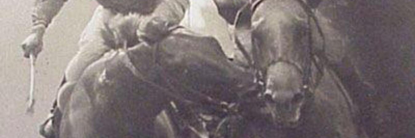 Purasang's profile banner image