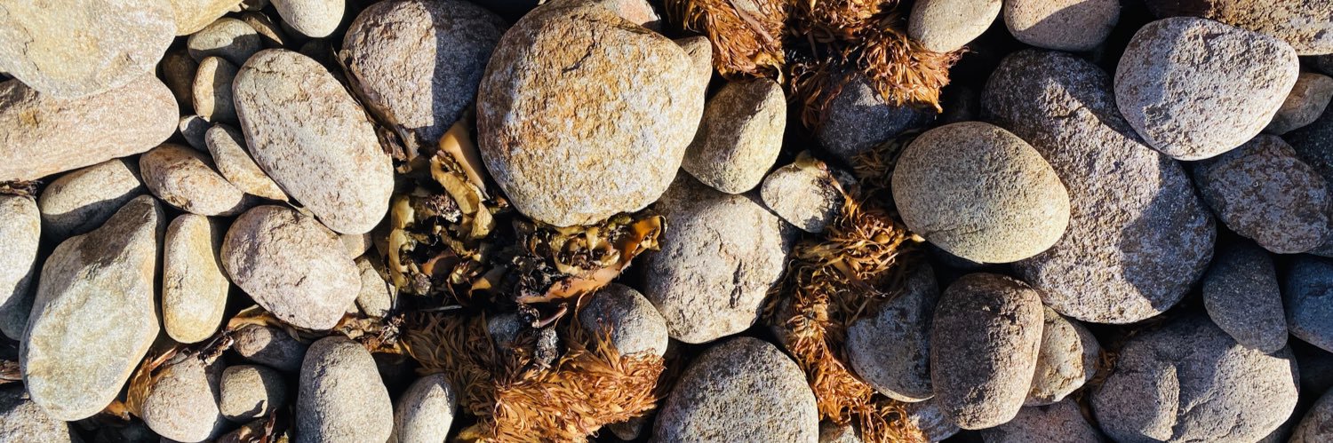 Kate Washington MP banner