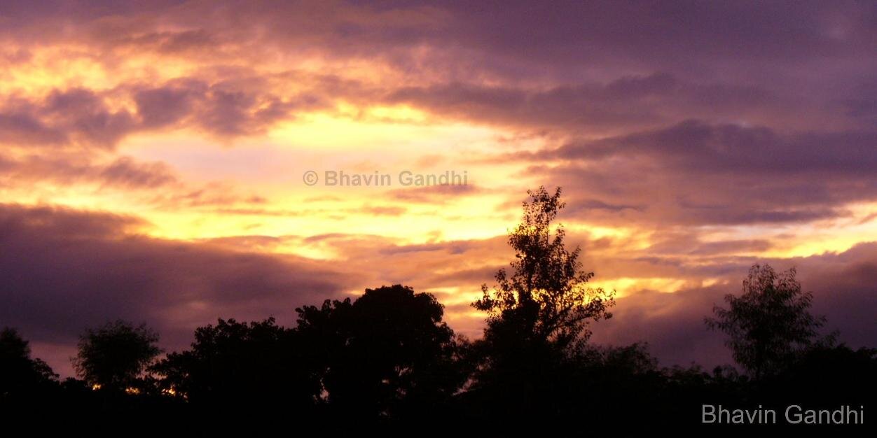 Bhavin Gandhi banner