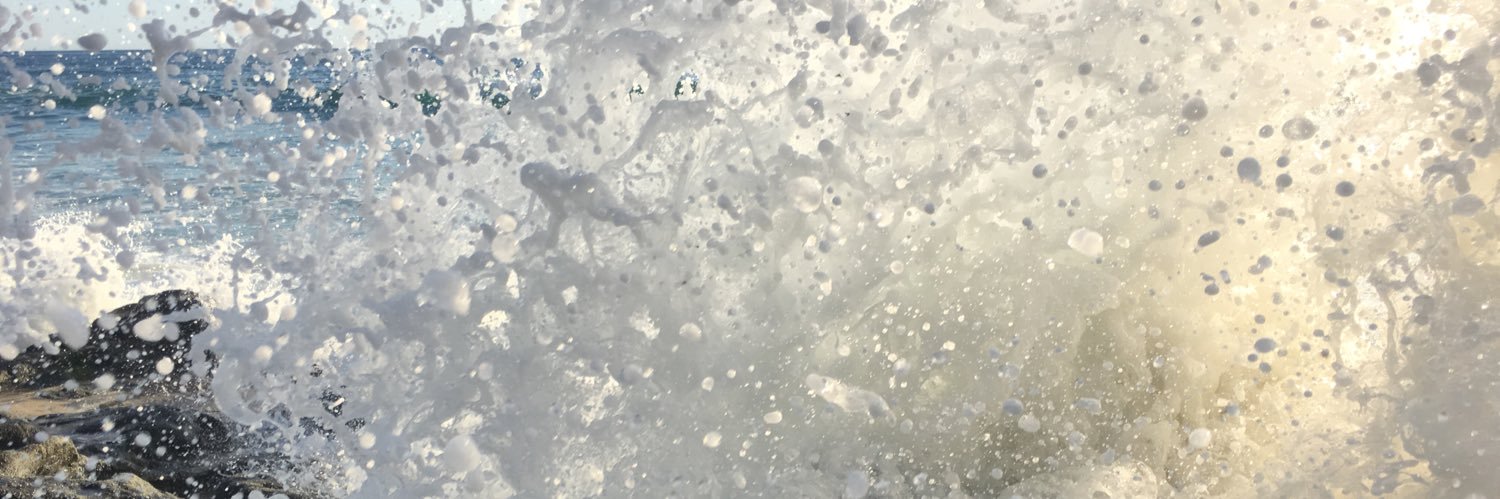 MeredithElise86's profile banner image